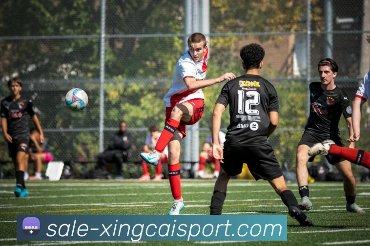 杏彩体育全站App